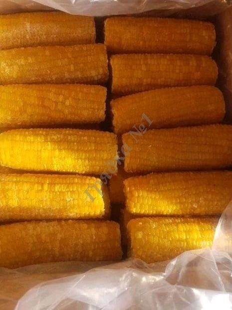 кукуруза початок сладкая Индия