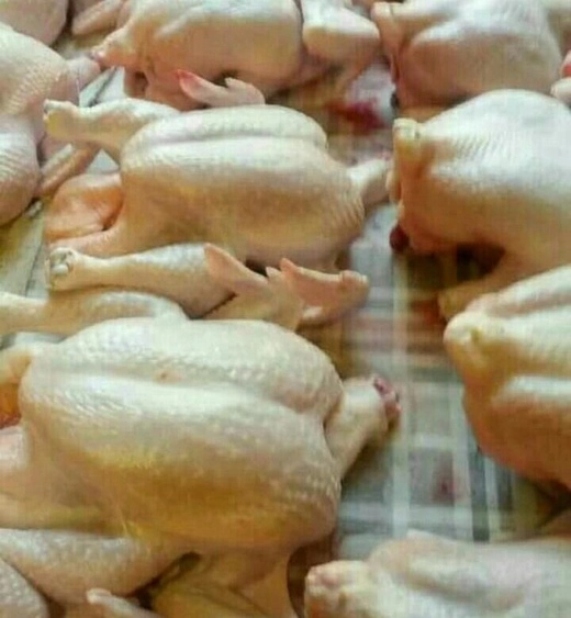Домашняя курочка, фермерское хозяйство Алексеевых