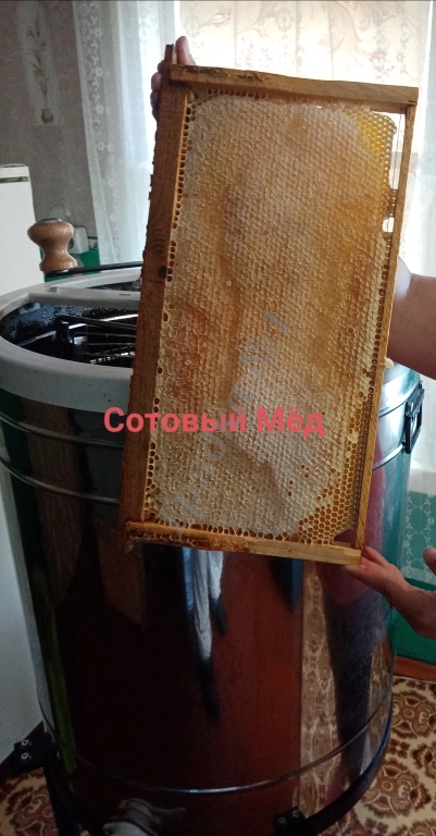 Медок. Собственная пасека.
