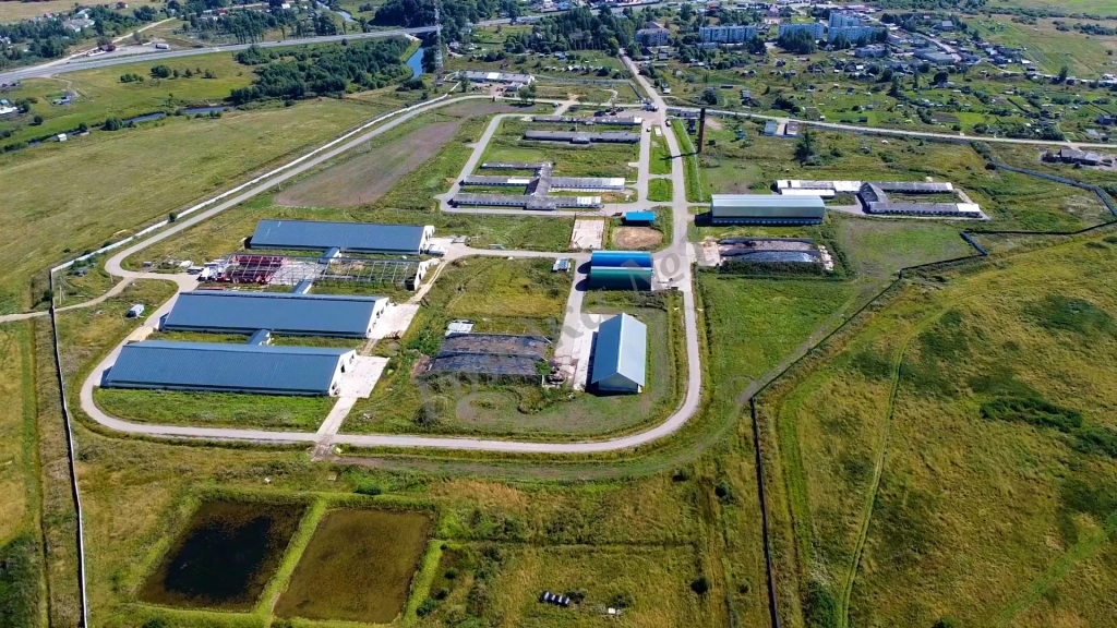 Молочно-товарная ферма