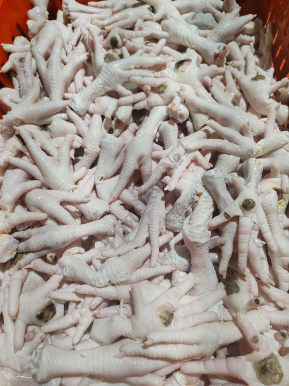 предлагаем мясо кур, индейки, утка