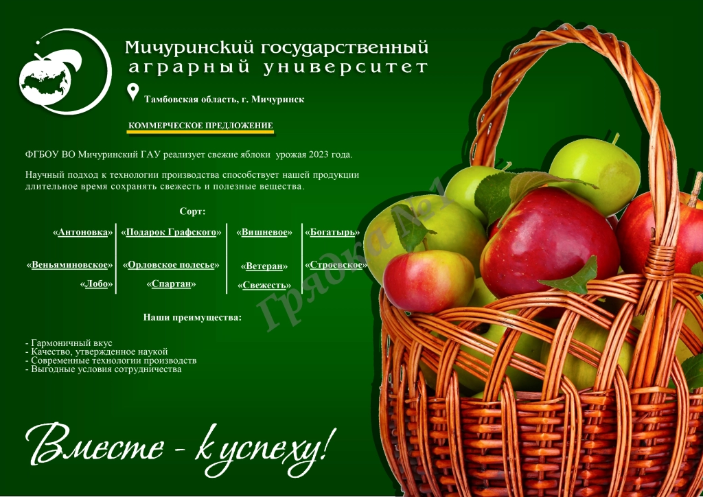 Яблоки