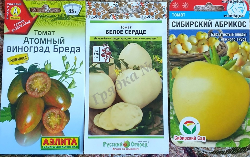 Рассада помидор