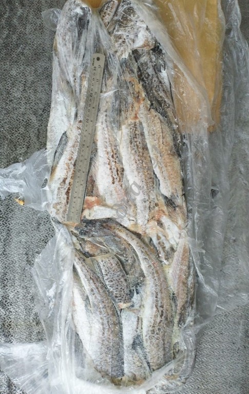 Минтай 25+