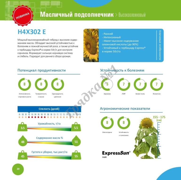Семена посевного подсолнечника
