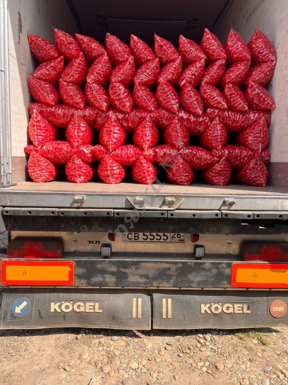 Продам редис  урожай 2024.
