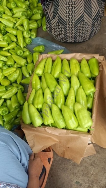 Продам перец урожай 2024.