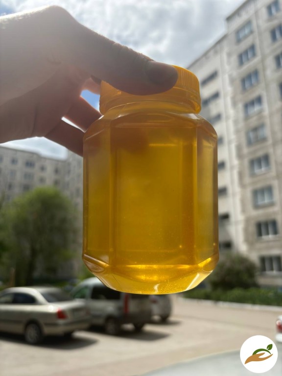 алтайский мед оптом