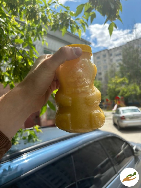 алтайский мед оптом