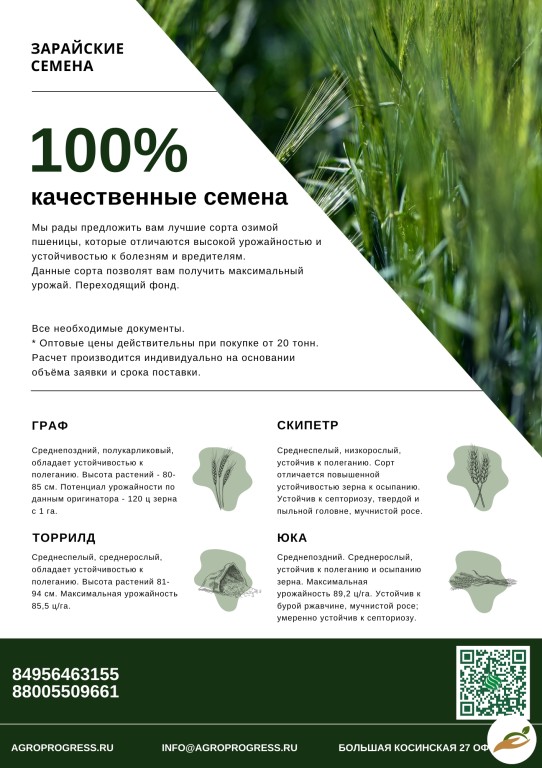 Семена озимой пшеницы переходящий фонд