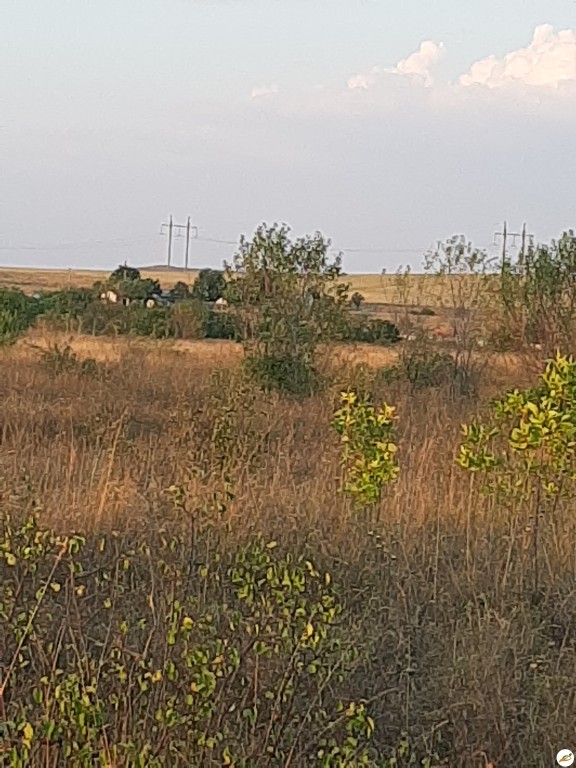 Земельный пай в Симферопольском районе