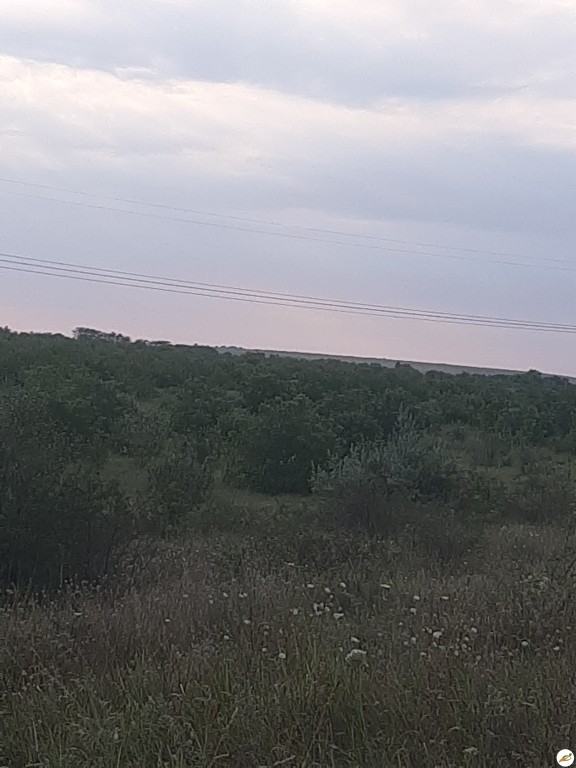 Земельный пай в Симферопольском районе