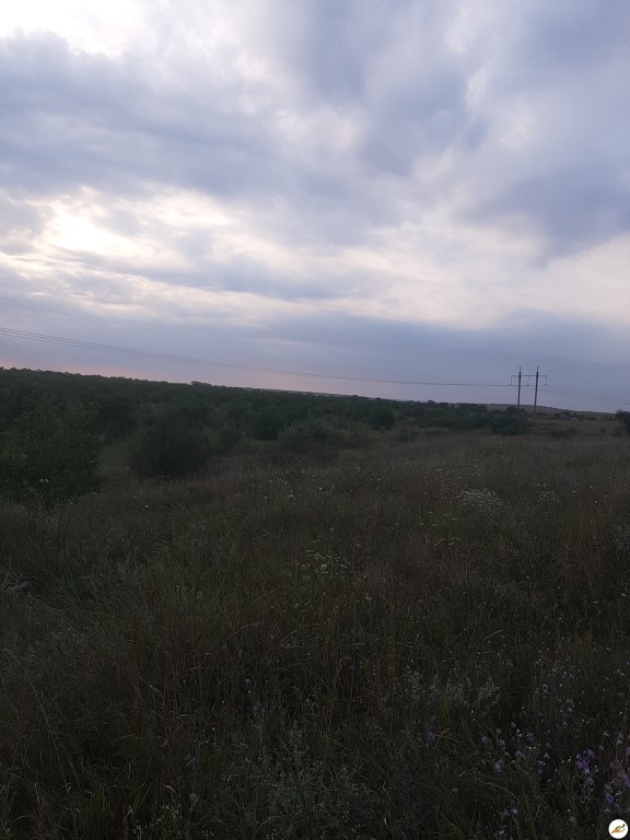 Земельный пай в Симферопольском районе
