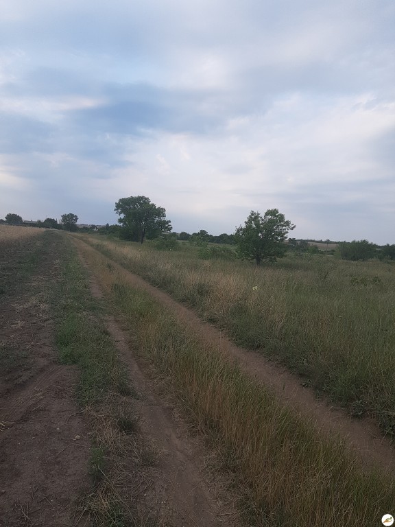 Земельный пай в Симферопольском районе