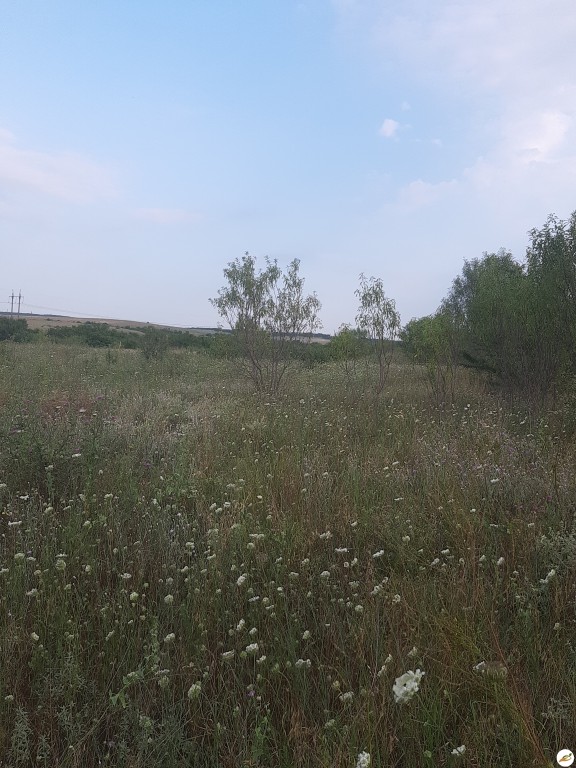 Земельный пай в Симферопольском районе
