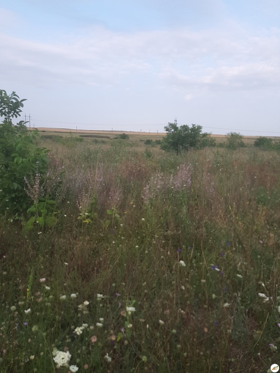 Земельный пай в Симферопольском районе