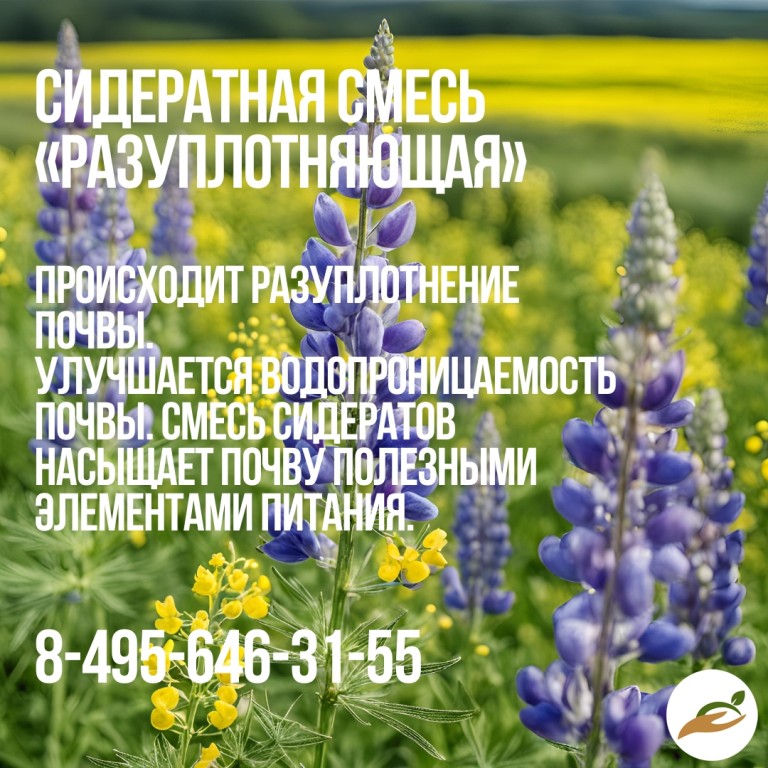 Сидератная смесь Разуплотняющая