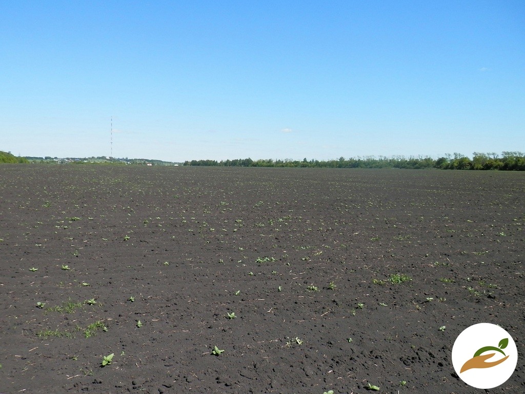 Продам земельный участок 4,6 га. на трассе М-5 Урал