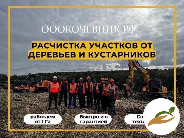 Расчистка участка от деревьев и кустарников