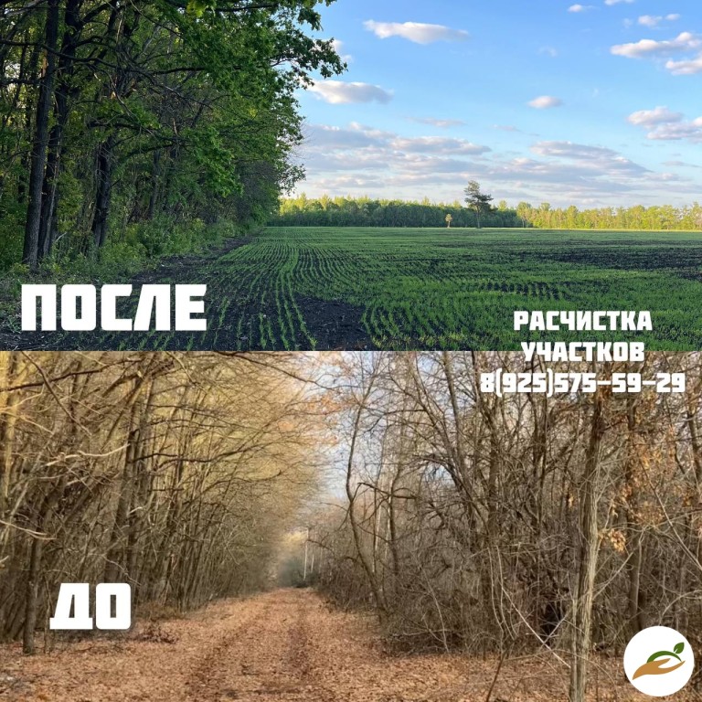Расчистка участка от деревьев и кустарников