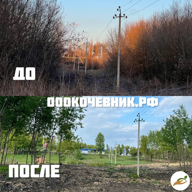 Расчистка участка от деревьев и кустарников