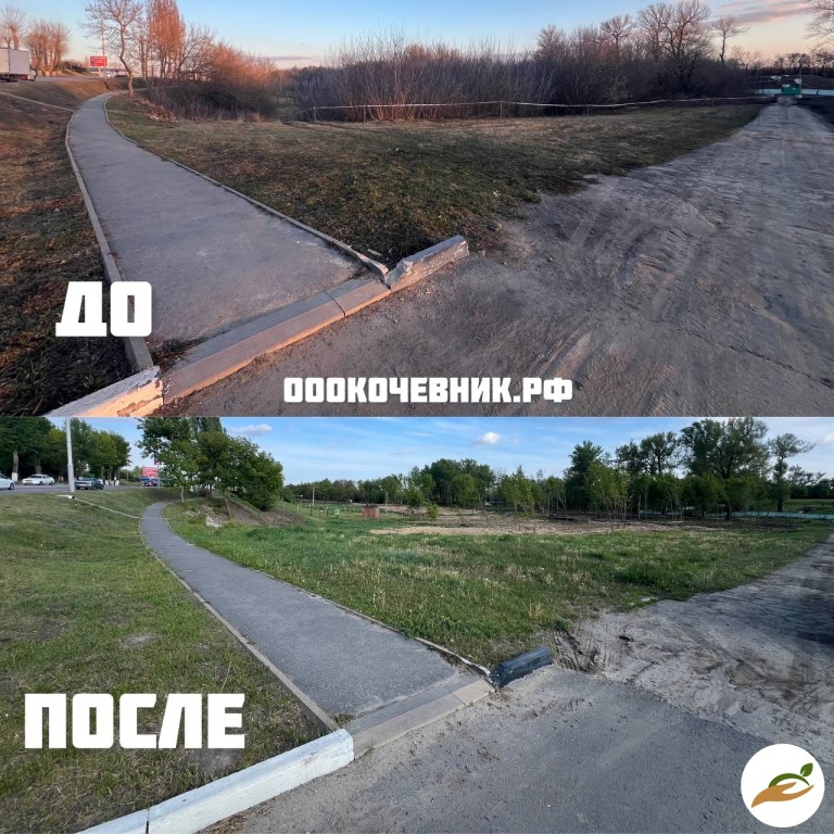 Расчистка участка от деревьев и кустарников