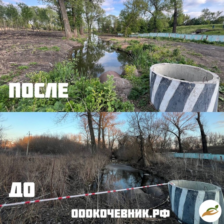 Расчистка участка от деревьев и кустарников