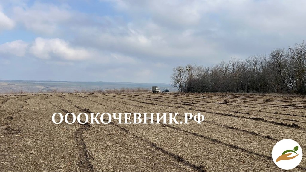 Cпил деревьев и кустaрников, мульчированиe, выкоpчевка пнeй