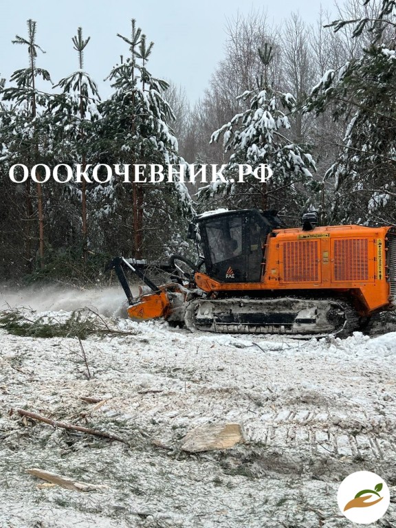 Cпил деревьев и кустaрников, мульчированиe, выкоpчевка пнeй