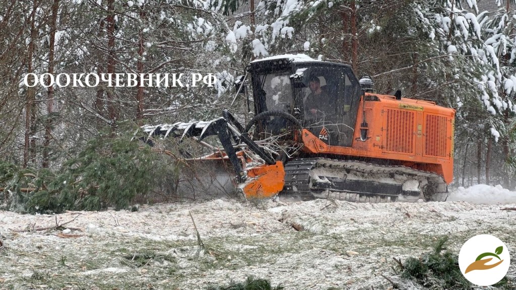Cпил деревьев и кустaрников, мульчированиe, выкоpчевка пнeй