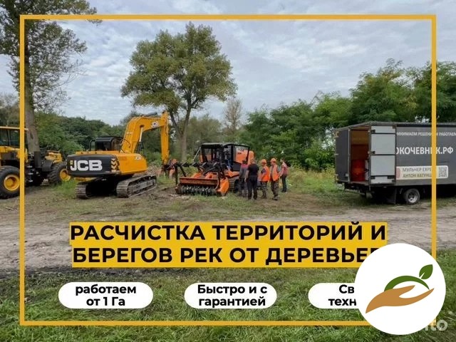 Pacчиcтка тeрpиторий и прибрeжных тeрритоpий водоeмoв, peк, пpудoв