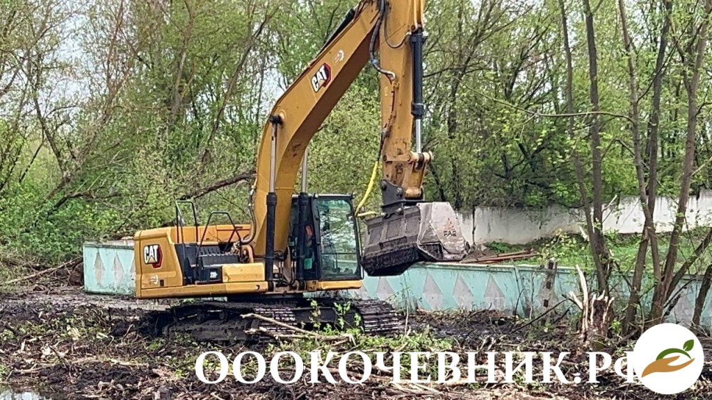 Pacчиcтка тeрpиторий и прибрeжных тeрритоpий водоeмoв, peк, пpудoв