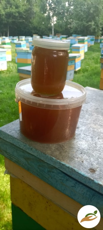 Продам мед разнотравье!