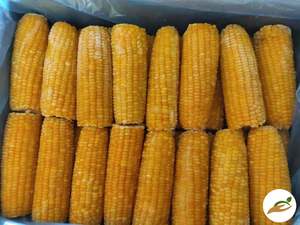 Кукуруза початки, замороженные