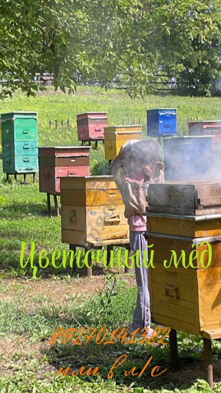 Цветочный мёд 🍯