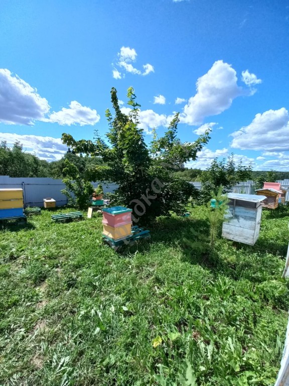 Мед с личной пасеки. Север Ярославской области. 1000р/л Мытищи-Королев. 977 570 80 78