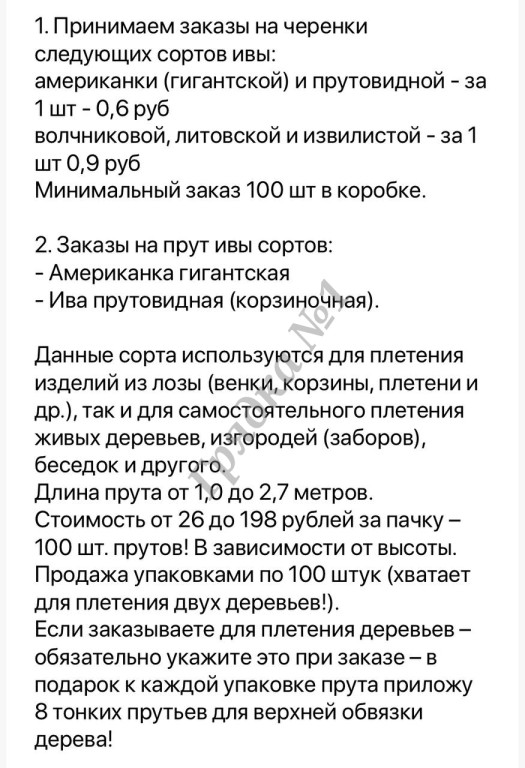 Продажа прутков ивы и черенков сортовой ивы