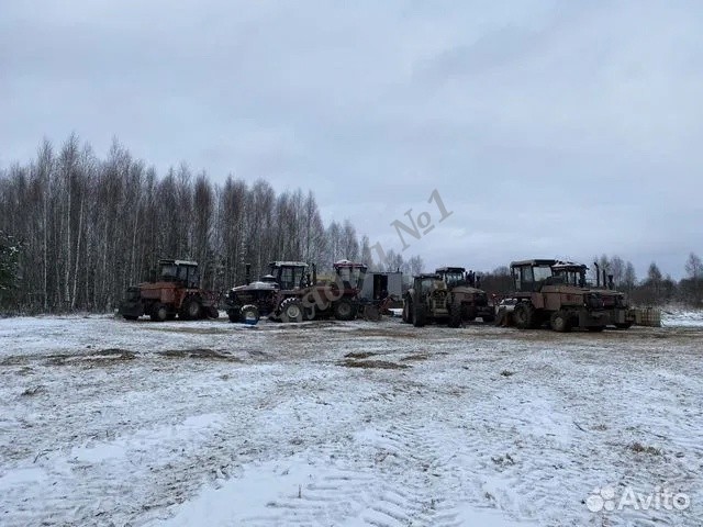 Расчистка заросших полей от деревьев от 1 Га