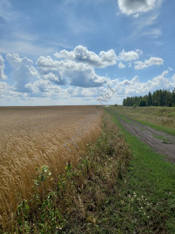 Земельный участок 90 Га
