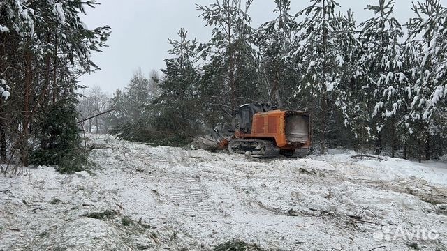 Расчистка 24/7, мульчирование от 1 Га, выкорчевка