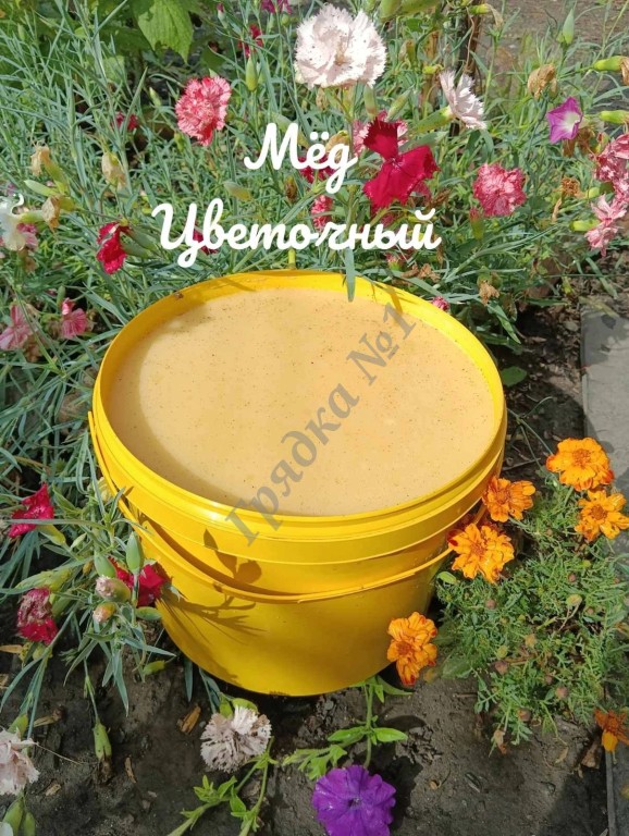 Мëд цветочный