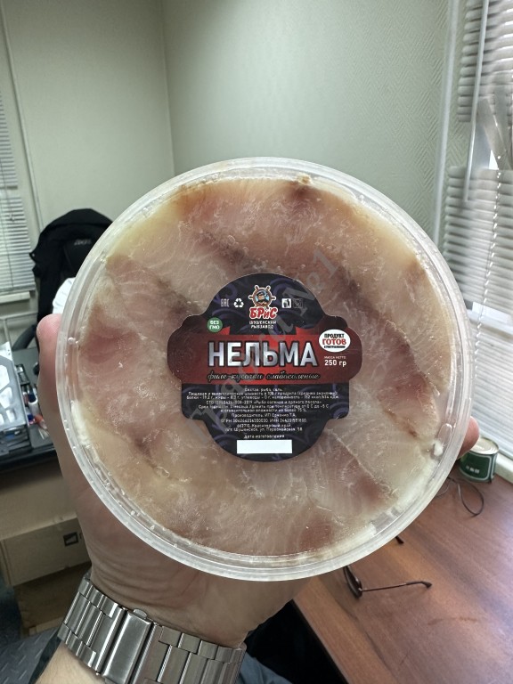 Пресервы из Северной Рыбы