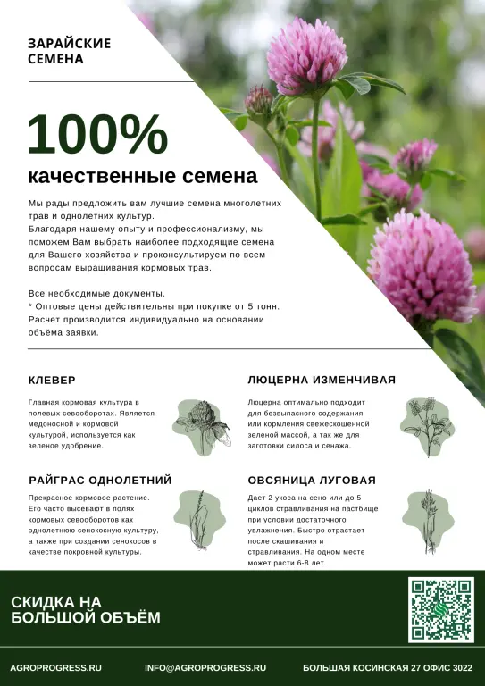 Фестулолиум