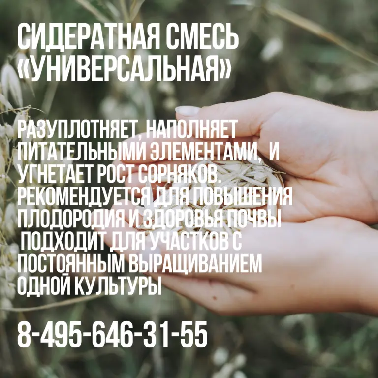 Сидератная смесь «Универсальная»