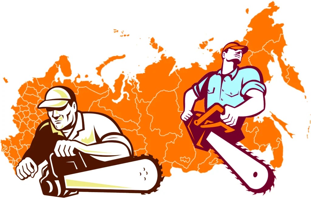 Услуги санитарной вырубки, корчевания, трелёвки, обрезки.